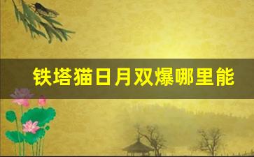 铁塔猫日月双爆哪里能买到-铁塔猫日月双爆好不好