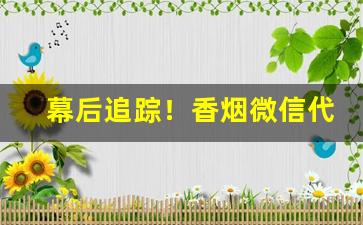 幕后追踪！香烟微信代购“便宜行事”