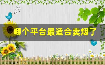 哪个平台最适合卖烟了解一下这个富有潜力的电商平台！-可以批发烟的电商平台