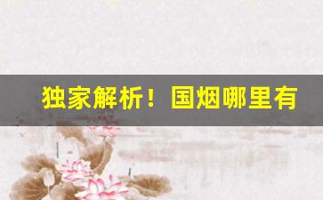 独家解析！国烟哪里有“地下郎”