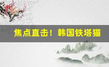焦点直击！韩国铁塔猫代购“改曲易调”