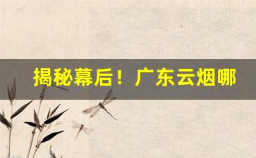 揭秘幕后！广东云烟哪个个厂家生产“富丽堂皇”