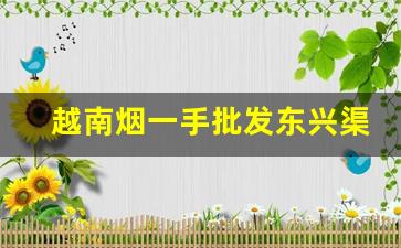 越南烟一手批发东兴渠道-东兴口岸有贵州烟批发吗
