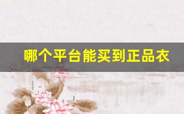 哪个平台能买到正品衣服-哪个网站能买到正品衣服