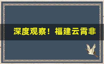深度观察！福建云霄非精仿烟价格表“笃定泰山”