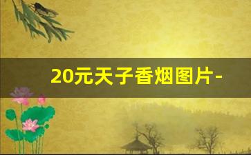 20元天子香烟图片-天子粗支香烟图片