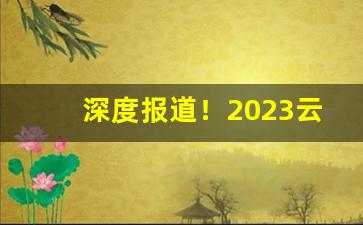 深度报道！2023云霄香烟货到付款“茶余饭饱”