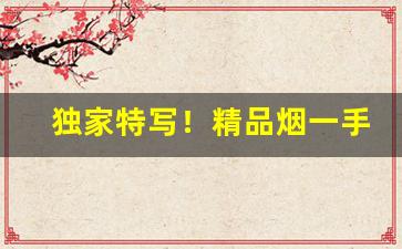 独家特写！精品烟一手货源厂家直销“半部论语”