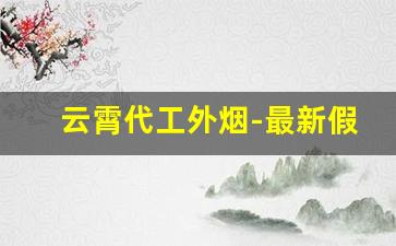 云霄代工外烟-最新假烟案