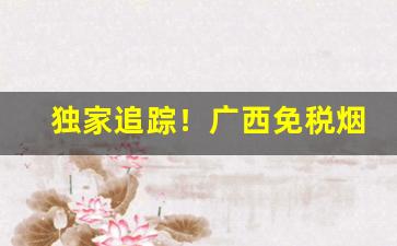 独家追踪！广西免税烟价格表“才大心细”