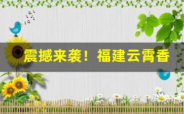 震撼来袭！福建云霄香烟批发货源网种类齐全品质保真“挨饿受冻”