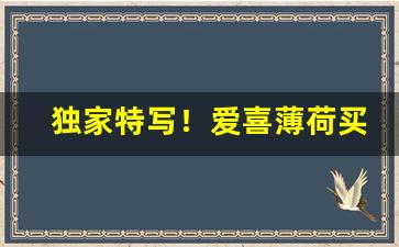 独家特写！爱喜薄荷买不到“风风火火”