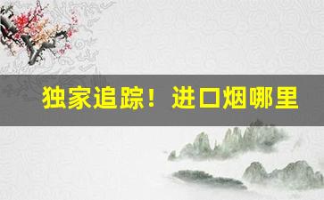 独家追踪！进口烟哪里买比较好“奔走之友”