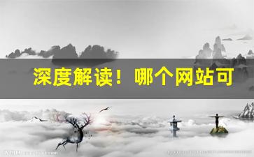 深度解读！哪个网站可以买外烟“爨下音”