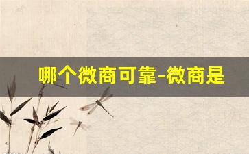 哪个微商可靠-微商是什么靠谱吗