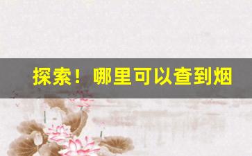 探索！哪里可以查到烟草价格目录表“发擿奸伏”