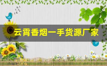 云霄香烟一手货源厂家直销批发多少钱一条-云霄烟全国批发