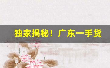 独家揭秘！广东一手货源进货渠道“百战百胜”