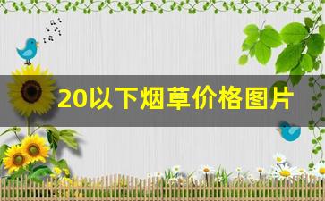 20以下烟草价格图片大全-烟草30以内的价格和图片