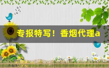 专报特写！香烟代理app便宜香烟货源“峨冠博带”