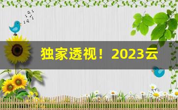 独家透视！2023云霄一手货源渠道微信“泛滥博文”