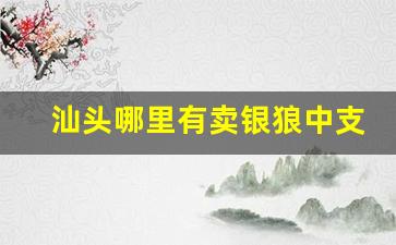 汕头哪里有卖银狼中支香烟的-汕头市最新香烟价格表一览