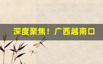 深度聚焦！广西越南口岸越南香烟批发一手货源“出师有名”