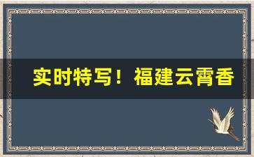 实时特写！福建云霄香烟哪个好“断手续玉”