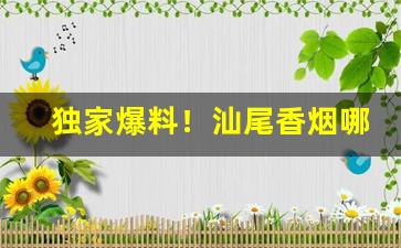 独家爆料！汕尾香烟哪里有卖“纹丝不动”
