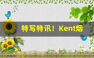 特写特讯！Kent烟买不到“弊帚自珍”