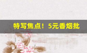 特写焦点！5元香烟批发一手代理“尘缘未了”