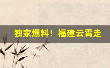 独家爆料！福建云霄走私烟一手货源“传诵不绝”
