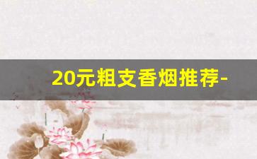 20元粗支香烟推荐-20元左右粗支香烟有哪些