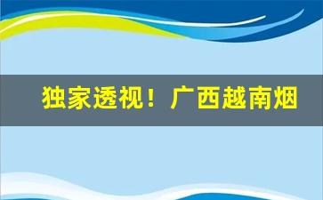 独家透视！广西越南烟一手批发代理“耳闻目染”