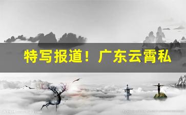 特写报道！广东云霄私香烟一手货源“长揖不拜”