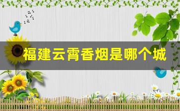 福建云霄香烟是哪个城市