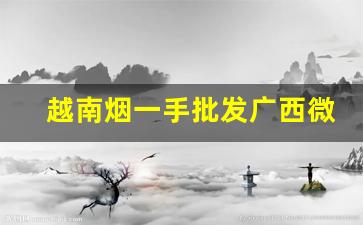 越南烟一手批发广西微信号-越南烟图片及价格南京