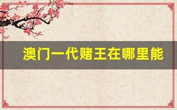澳门一代赌王在哪里能买到-澳门赌王硬盒价格