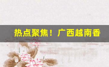 热点聚焦！广西越南香烟货“爱民恤物”
