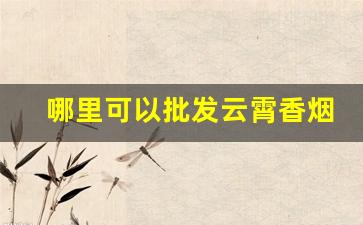 哪里可以批发云霄香烟买烟酒在哪个网上买