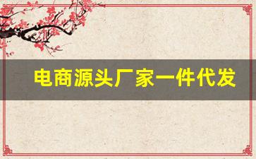 电商源头厂家一件代发无需囤货-支持电商代发的厂家