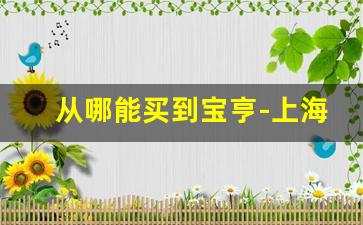 从哪能买到宝亨-上海哪里能买到宝亨