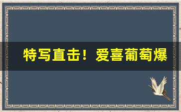 特写直击！爱喜葡萄爆珠26一包“树大根深”