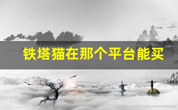 铁塔猫在那个平台能买得到-铁塔猫在哪买得到附近