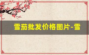 雪茄批发价格图片-雪茄源头价格