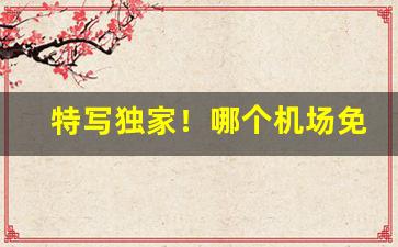 特写独家！哪个机场免税店能买烟“当场出彩”