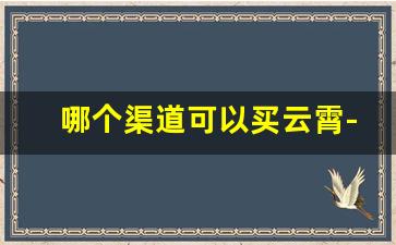 哪个渠道可以买云霄-怎么在网上买云霄口粮