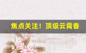 焦点关注！顶级云霄香烟“别树一帜”