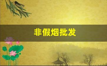 非假烟批发