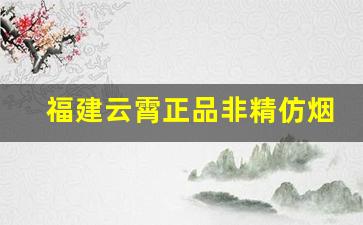 福建云霄正品非精仿烟价格表-云霄烟1000支一包价200元